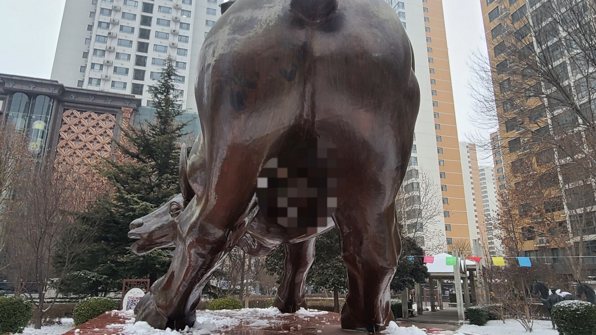 上传这张照片还被图床警告了……
