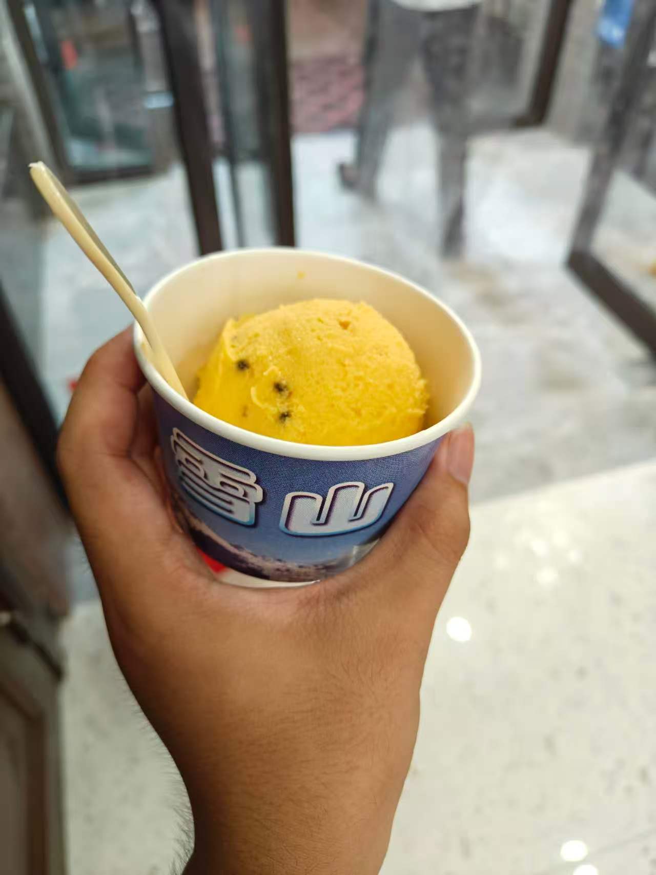 多毛耗子